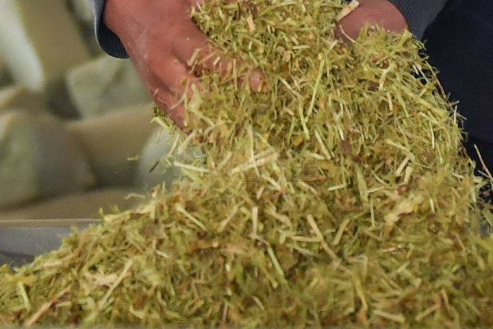 生物質(zhì)烘干機廠家鄭州東鼎干燥開發(fā)了大型檸條烘干機成套設(shè)備，實現(xiàn)了檸條資源規(guī)?；弥?。